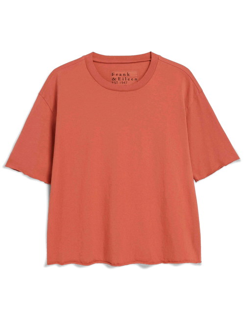 A short-sleeve crewneck t-shirt in a muted terracotta or burnt orange color, featuring a relaxed fit and raw, frayed edges. The brand name 'Frank & Eileen' is printed in black text inside the collar., view 4