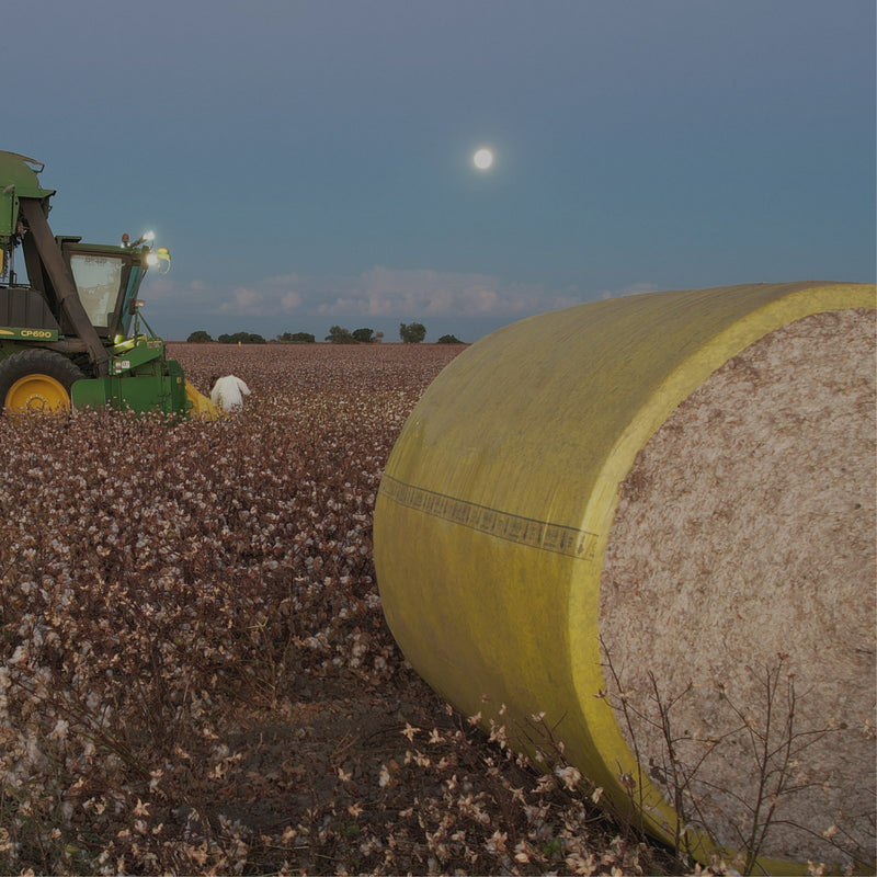 Tractor in a cotton field with a large bale of cotton and a moonlit sky.