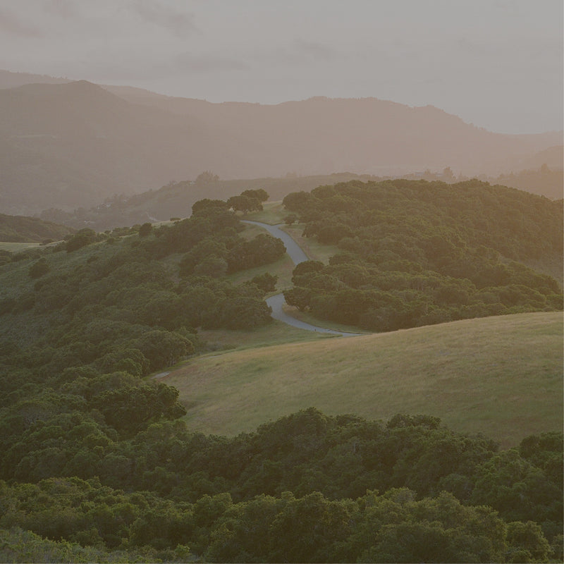 Winding road through a green landscape with hills and trees