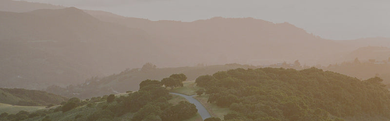 Hilly landscape with a winding road at sunset