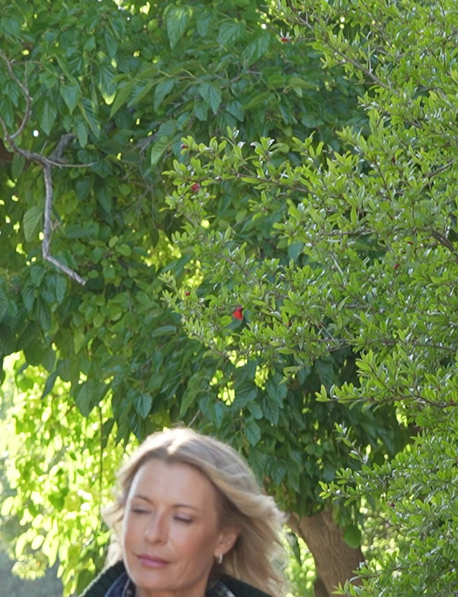 MINI COTSWOLDS British Racing Green, Pure Italian Cotton