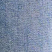 image ofswatch-2010.png