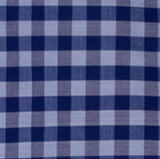 image ofswatch-BLBC.png