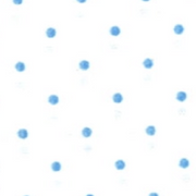 image ofswatch-BLDS.png