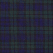 image ofswatch-BLPL.png