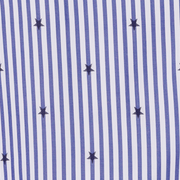 image ofswatch-BSNS.png