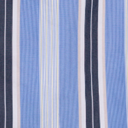 image ofswatch-BSNW.png