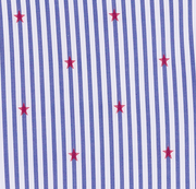 image ofswatch-BSRS.png