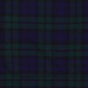 image ofswatch-GBTX.png