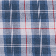 image ofswatch-GPRL.png