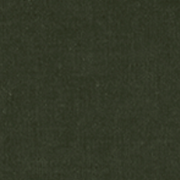 image ofswatch-GRNC.png