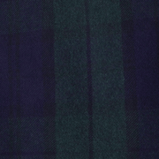 image ofswatch-NGLP.png