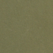 image ofswatch-OLVT.png
