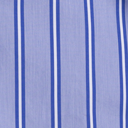 image ofswatch-RBWS.png