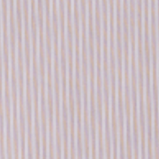 image ofswatch-STAN.png