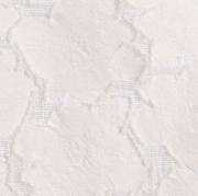 image ofswatch-TXNF.png