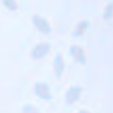 image ofswatch-WHTP.png