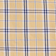 image ofswatch-YBLP.png
