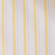 image ofswatch-YTNS.png